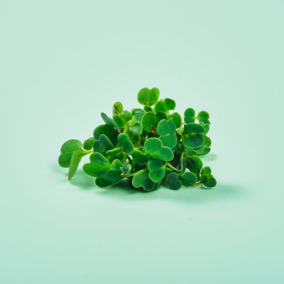 Micro ortaggi Rucola - Coltivabili con il vassoio Microgreens per Smart Garden Plantui 6