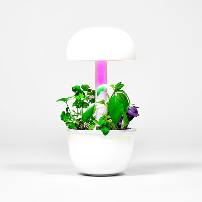 Plantui Smart Garden 3e - White