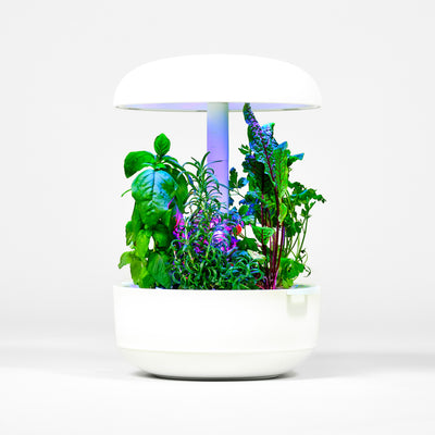 Plantui Smart Garden 6 - Bianco
