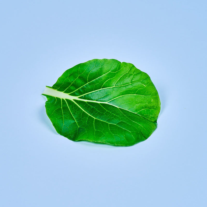 Capsule Pok Choy Plantui - Confezione da 3 pezzi