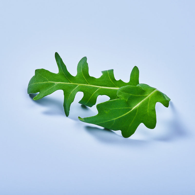 Capsule Rucola Selvatica Plantui - Confezione da 3 pezzi
