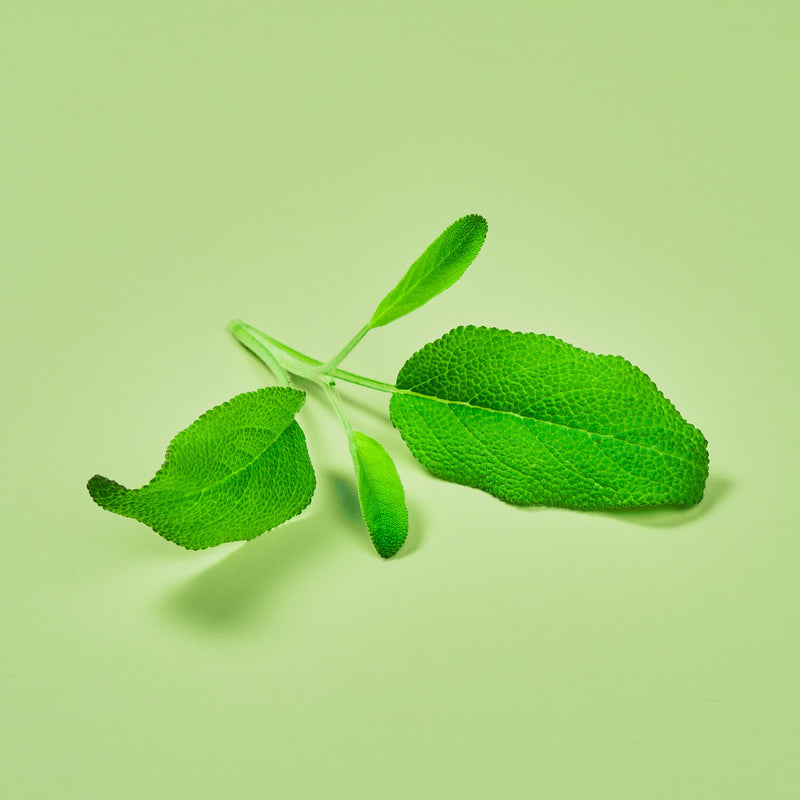 Capsule Salvia Plantui - Confezione da 3 pezzi