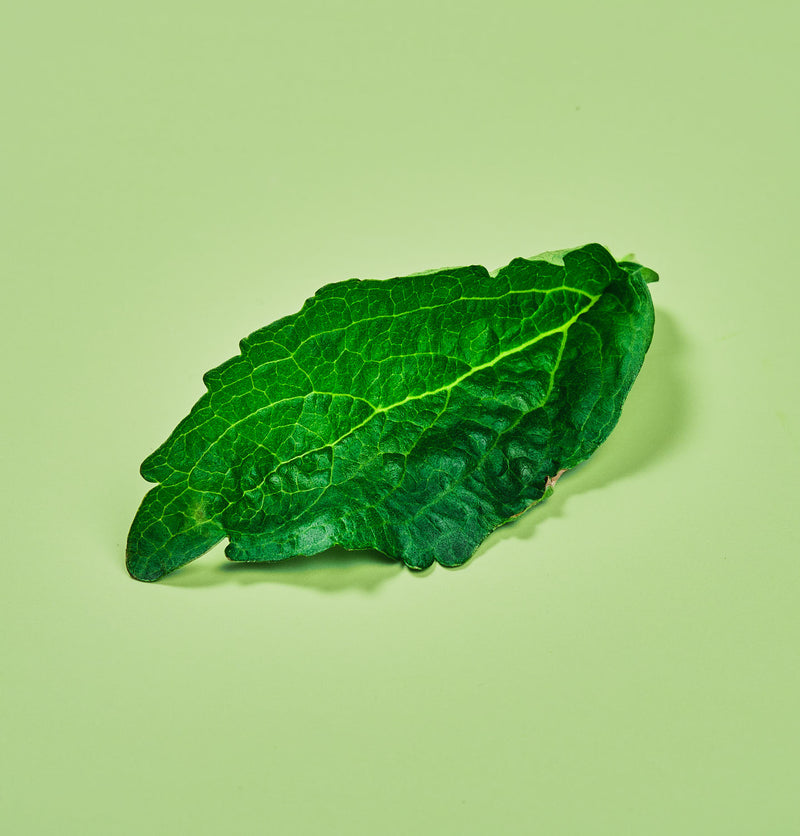 Capsule Stevia Plantui - Confezione da 3 pezzi
