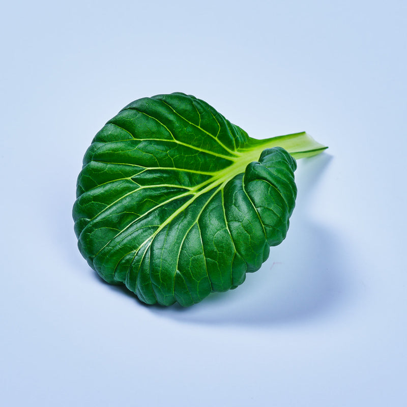 Capsule Tatsoi Plantui - Confezione da 3 pezzi