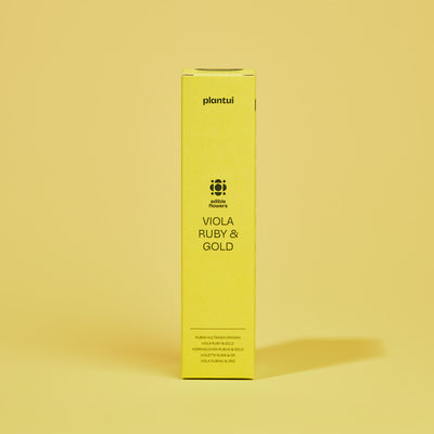 Capsule Viola Rubino e Oro Plantui - Confezione da 3 pezzi