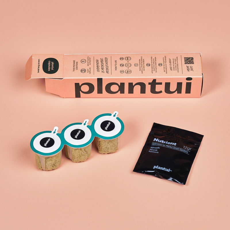 Capsule Peperoncino Medusa Plantui - Confezione da 3 pezzi