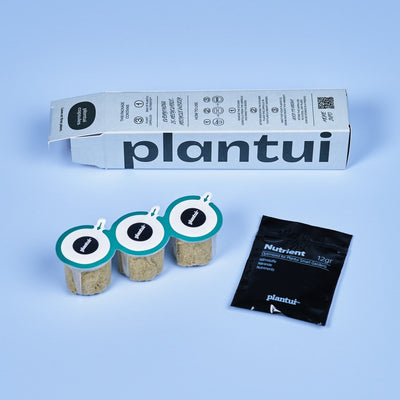 Capsule Cavolo Riccio Verde Plantui - Confezione da 3 pezzi