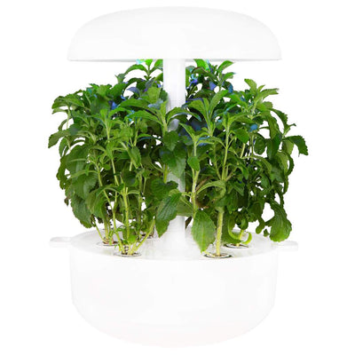 Capsule Stevia Plantui - Confezione da 3 pezzi