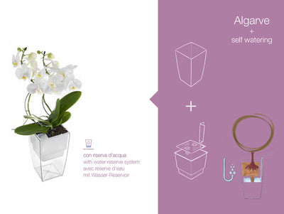 Algarve Teraplast  - Vaso colorato rettangolare per fiori e piante - Riserva d'acqua integrata