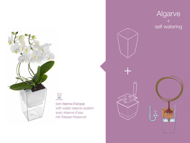 Algarve Teraplast  - Vaso colorato rettangolare per fiori e piante - Riserva d&