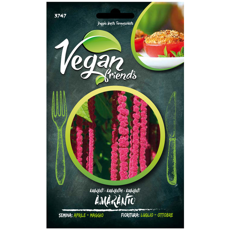Semi Bio Rucola coltivata da orto - Orto Biologico Sementi Dotto
