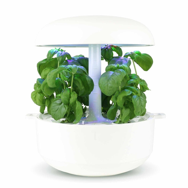 Capsule Basilico Limone Plantui - Confezione da 3 pezzi