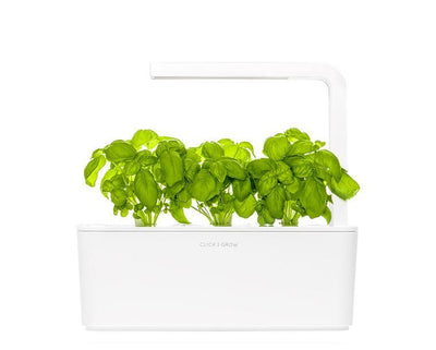 Click and Grow Basil Capsules - Pack of 3