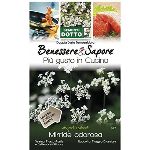 benessere-e-sapore-mirride-odorosa-sementidotto