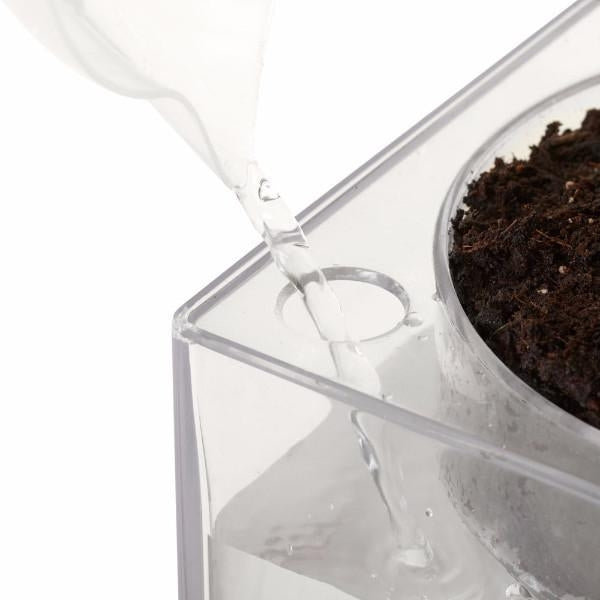 Boskke Vaso Cube Small - irrigazione