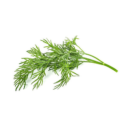 Click and Grow Dill Capsules - Pack of 3