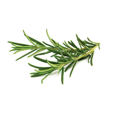 Click and Grow Rosemary Capsules - Pack of 3