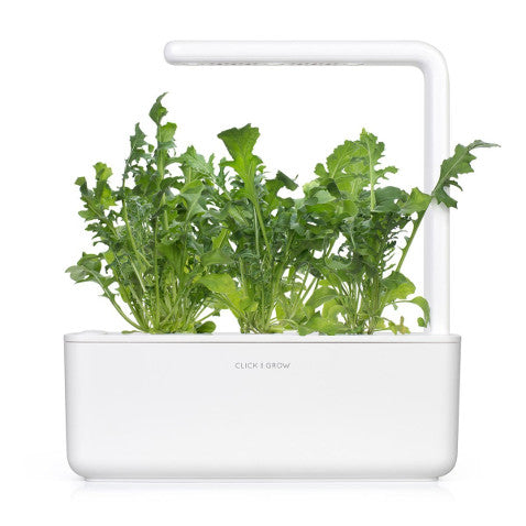 Capsule Rucola Click and Grow