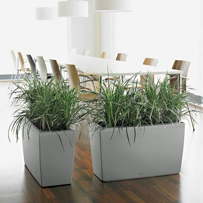 Lechuza - CARARO Design planter with water reserve and integrated wheels