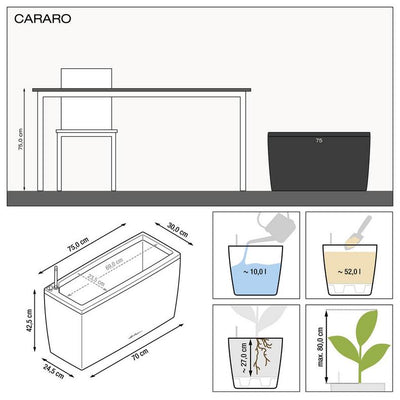 Lechuza - CARARO Fioriera di design con riserva d'acqua e ruote integrate