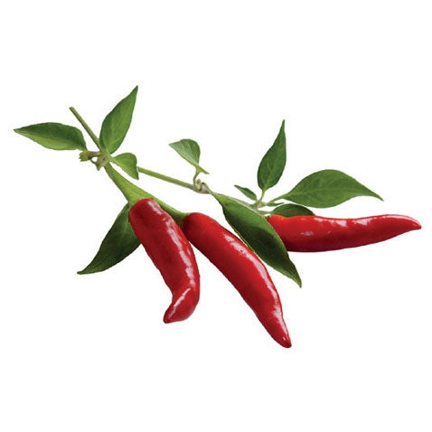 Click and Grow Chilli Capsules - Pack of 3