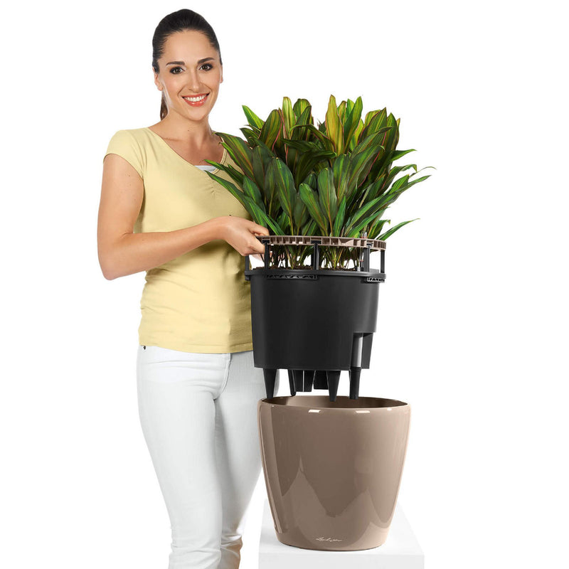 Lechuza - CLASSICO Premium LS Glossy vase with self-watering system