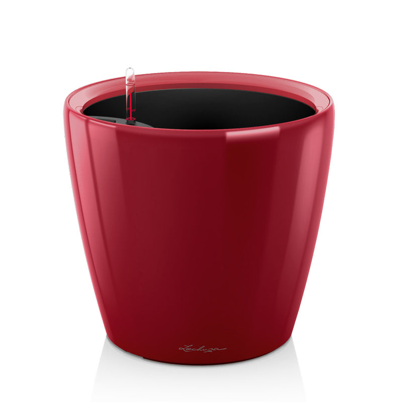 Vaso Classico Premium LS Lechuza Rosso