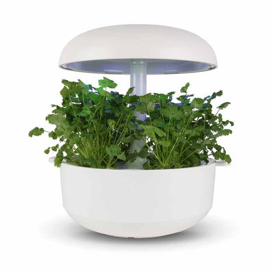 Capsule Coriandolo per Plantui Smart Garden - Confezione da 3 pezzi