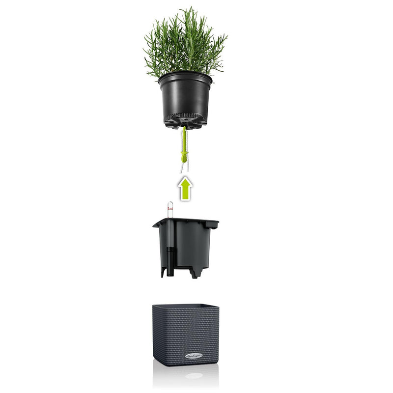 Lechuza - CUBE Color Vaso di design con sistema di auto irrigazione