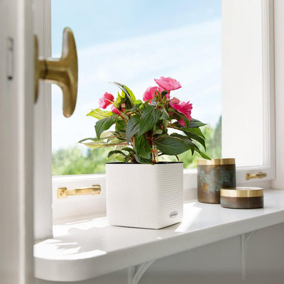 Lechuza - CUBE Color Design vase with self-watering system