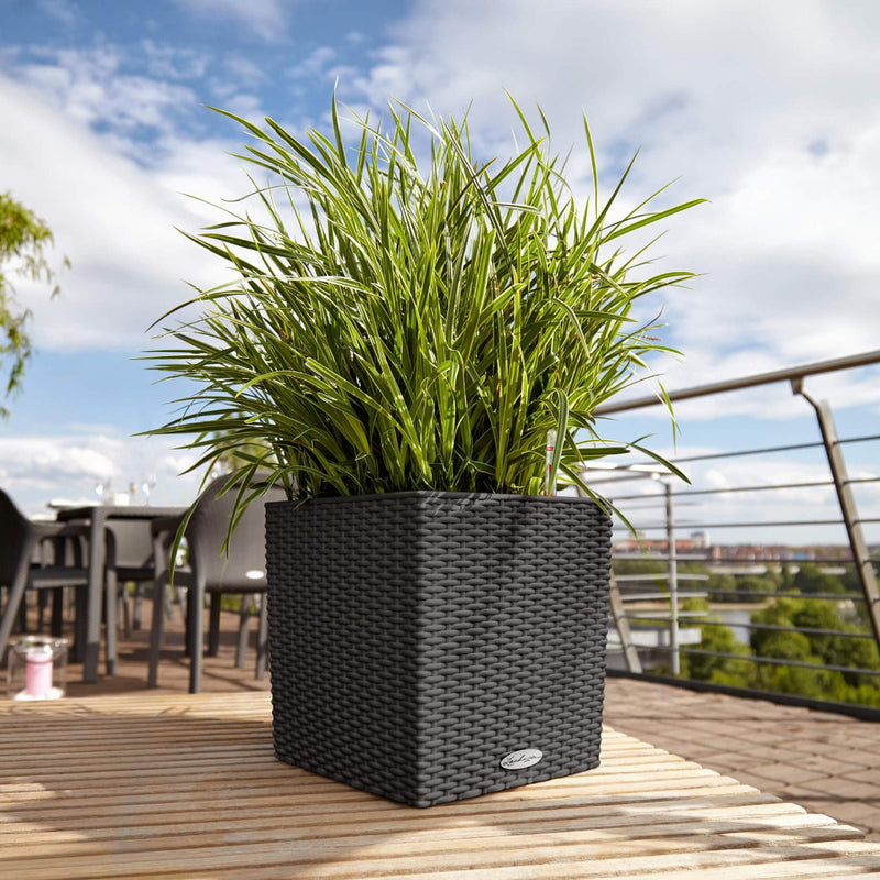 Lechuza - CUBE Cottage Outdoor planter with self-watering system