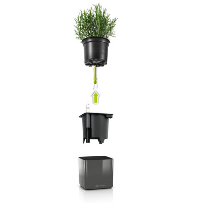 Lechuza - CUBE Glossy Designer table vase with self-watering system - Glossy colour