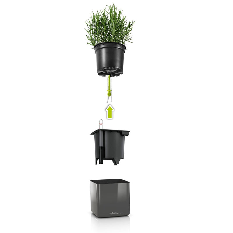 Lechuza - CUBE Glossy Vaso da tavolo di design con sistema di auto irrigazione - Colore lucido
