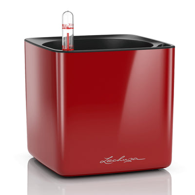 Vaso Cube Glossy Lechuza Rosso