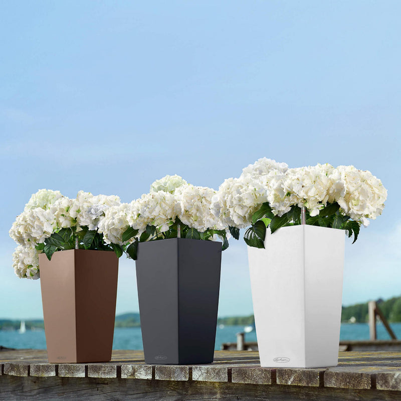 Lechuza - CUBIC colored vase with self-watering system