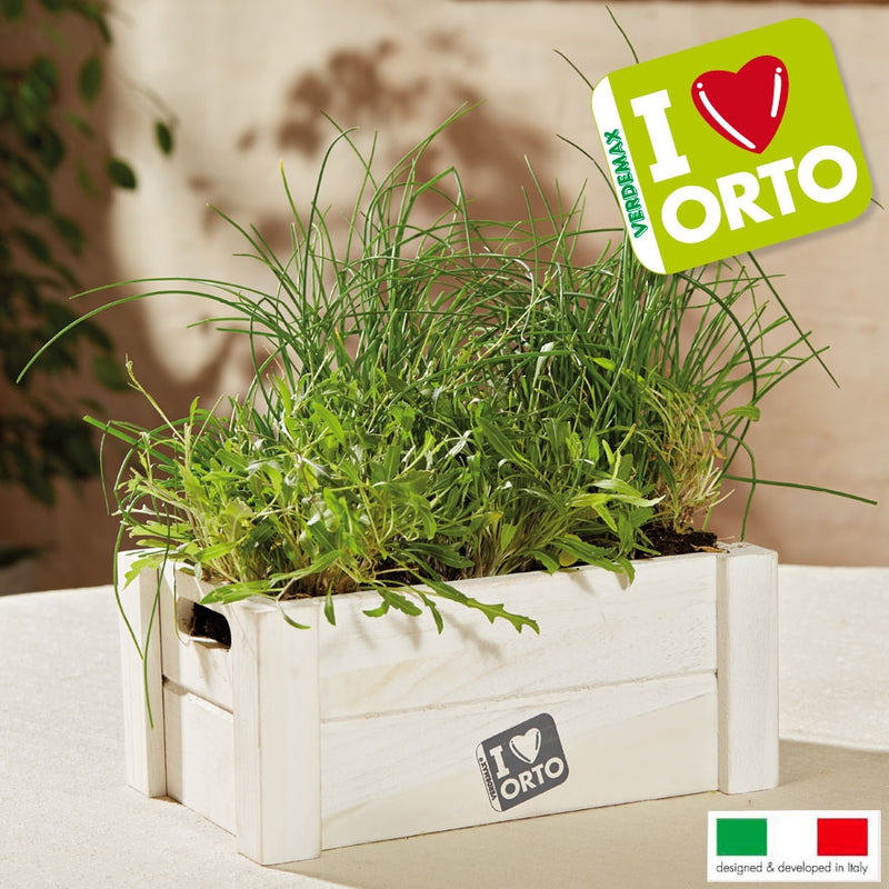 Easyorto Rucola - Erba cipollina Verdemax