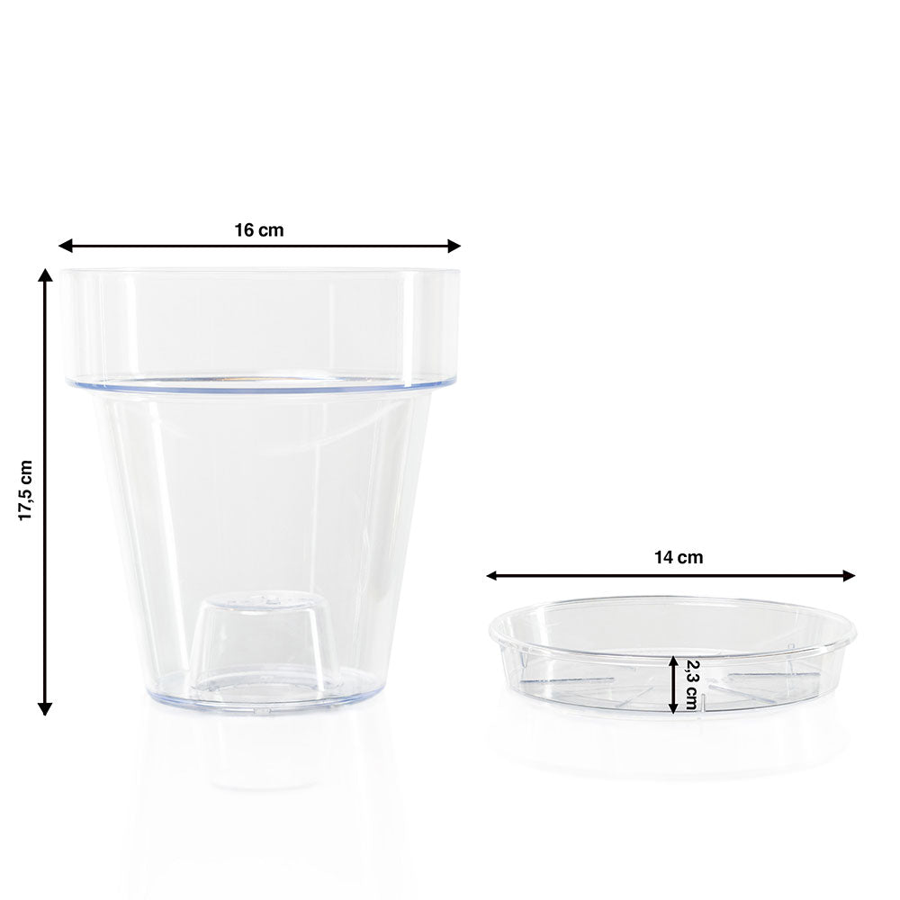 Generico VASO per ORCHIDEE tondo TRASPARENTE VIOLA VANDA fondo rialzato 16 cm Tera AMDGarden Generico VASO per ORCHIDEE tondo TRASPARENTE VIOLA VANDA fondo rialzato 16 cm Tera AMDGarden