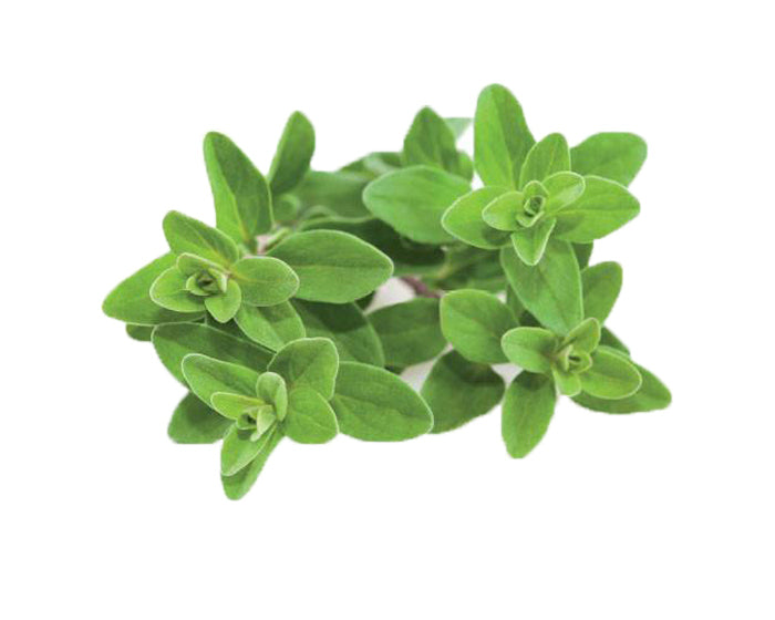 Capsule Peperoncini Rossi Piccanti Click and Grow - Confezione da 3 pezzi