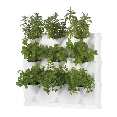 Minigarden Set Vertical con piante