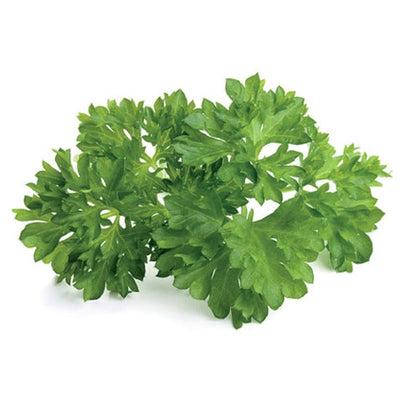Parsley Click and Grow Capsules - Pack of 3