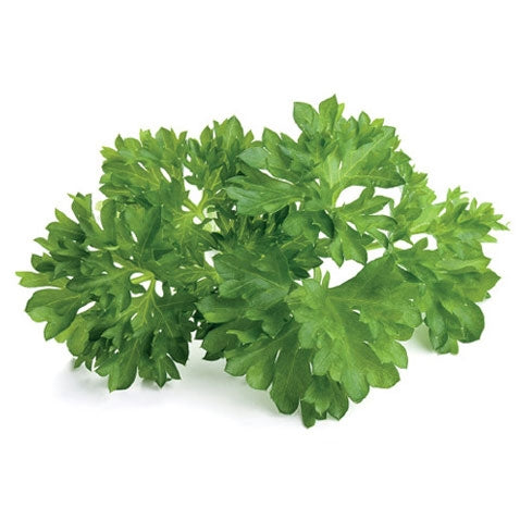 Parsley Click and Grow Capsules - Pack of 3