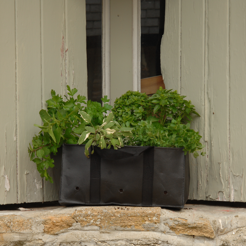 Burgon & Ball - Herb Planter - Natural Willow - Cesta per Erbe in Salice Intrecciato per Vasi in Geotessile (inclusi)