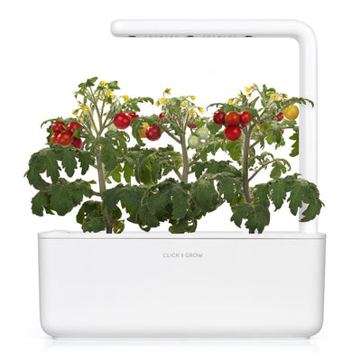 Click and Grow Tomato Capsules - Pack of 3