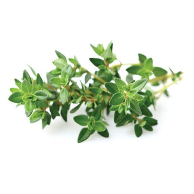Click and Grow Thyme Capsules - Pack of 3