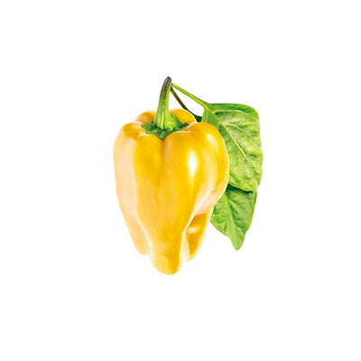 yellow-sweet-pepper-click-and-grow